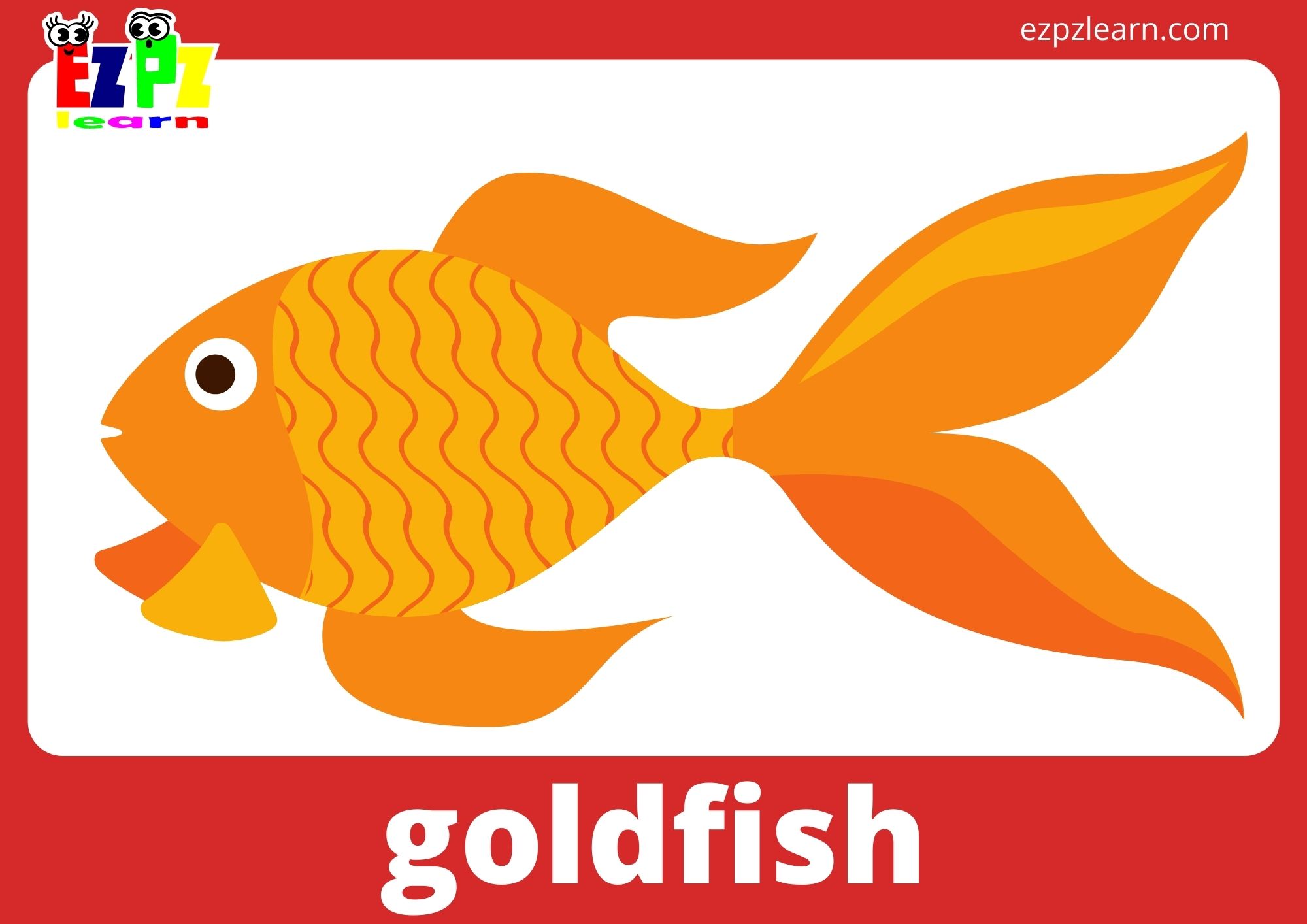 goldfish